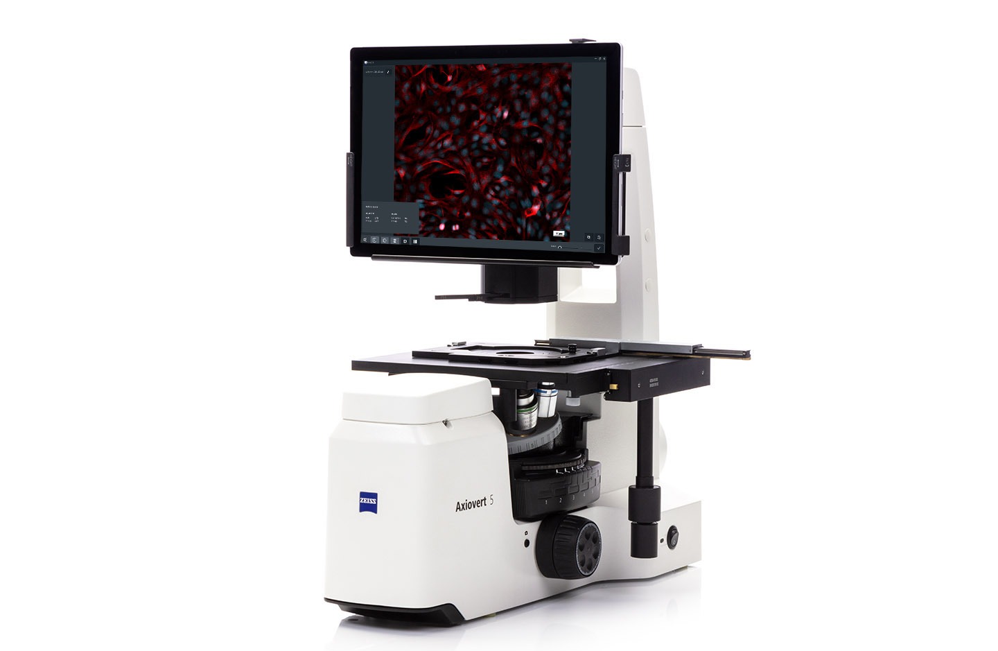 Zeiss Axiovert Microscope